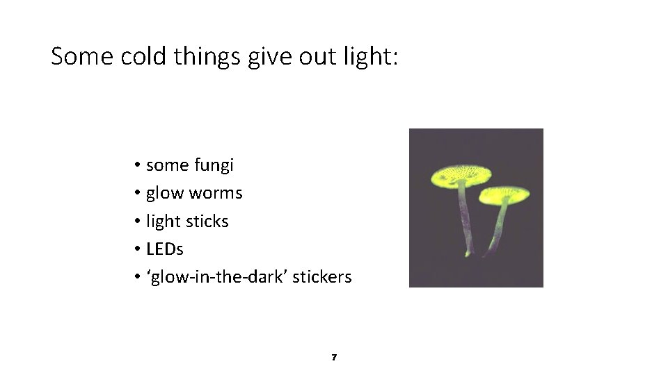 Some cold things give out light: • some fungi • glow worms • light