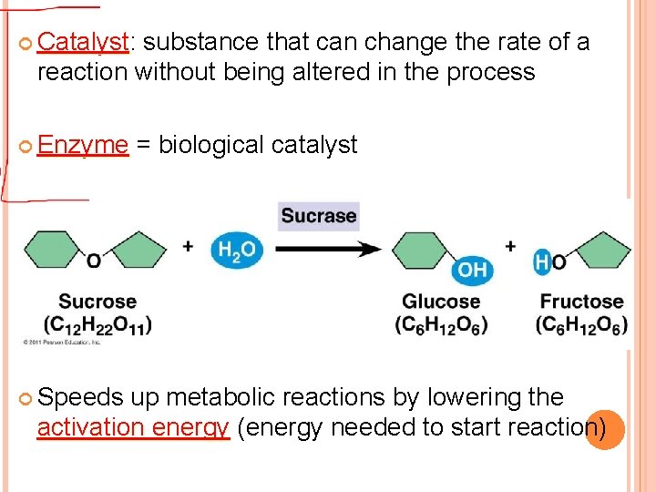  Catalyst: Catalyst substance that can change the rate of a reaction without being