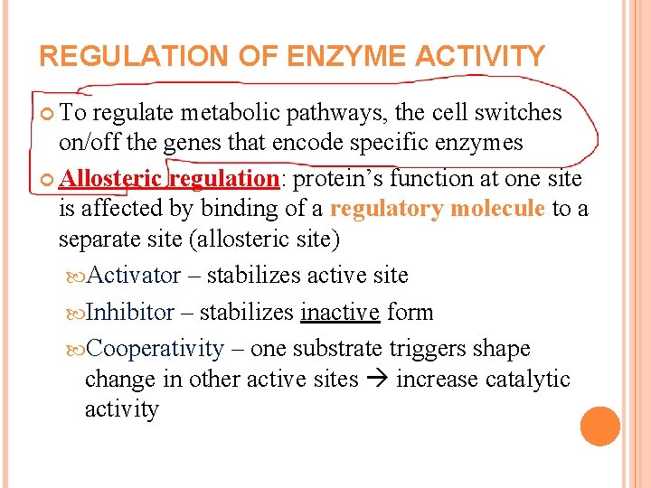 REGULATION OF ENZYME ACTIVITY To regulate metabolic pathways, the cell switches on/off the genes