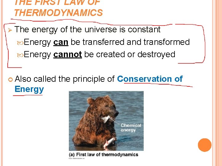 THE FIRST LAW OF THERMODYNAMICS Ø The energy of the universe is constant Energy
