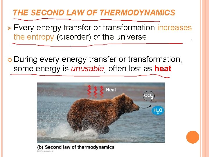 THE SECOND LAW OF THERMODYNAMICS Ø Every energy transfer or transformation increases the entropy