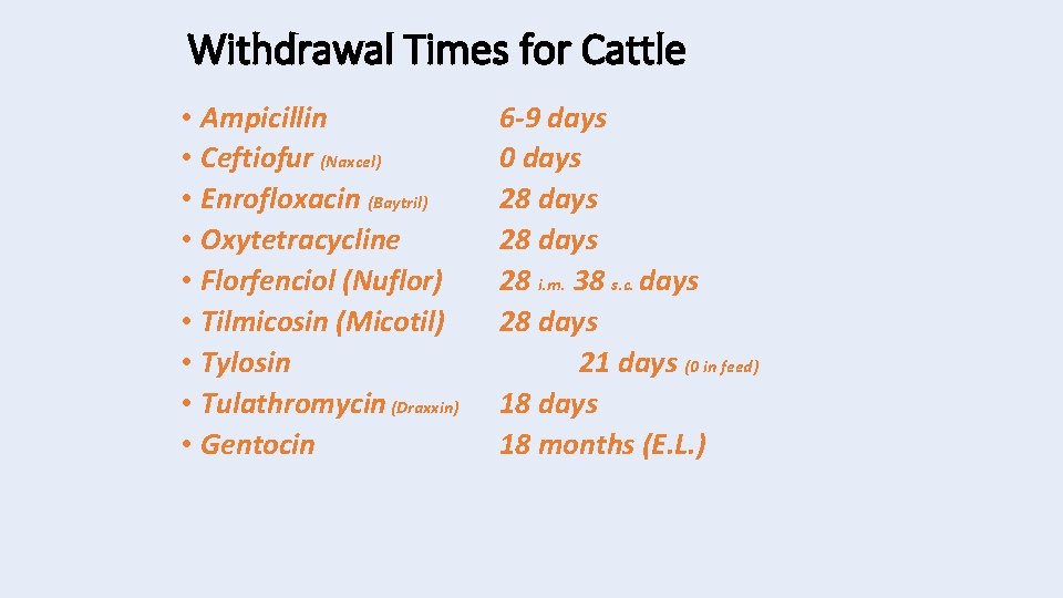 Withdrawal Times for Cattle • Ampicillin • Ceftiofur (Naxcel) • Enrofloxacin (Baytril) • Oxytetracycline