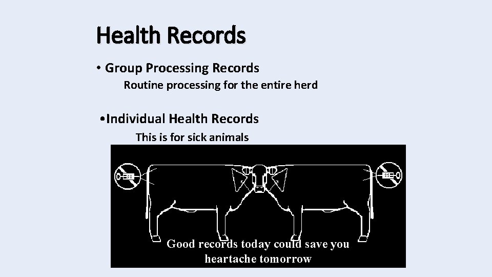 Health Records • Group Processing Records Routine processing for the entire herd • Individual