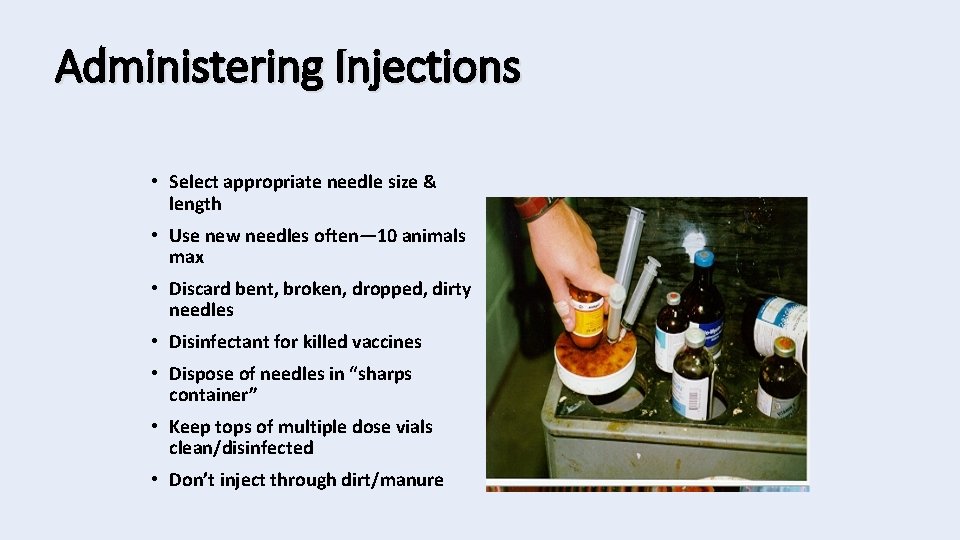 Administering Injections • Select appropriate needle size & length • Use new needles often—