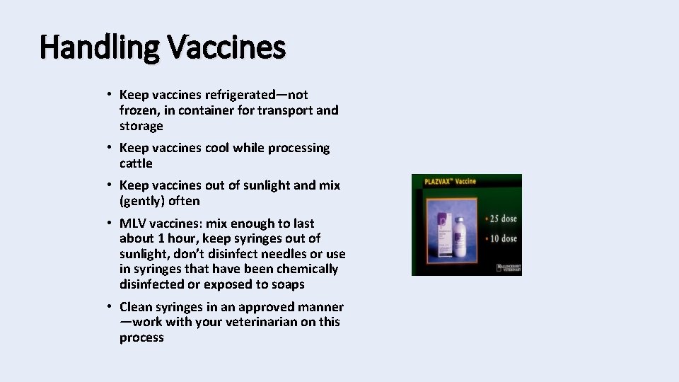 Handling Vaccines • Keep vaccines refrigerated—not frozen, in container for transport and storage •