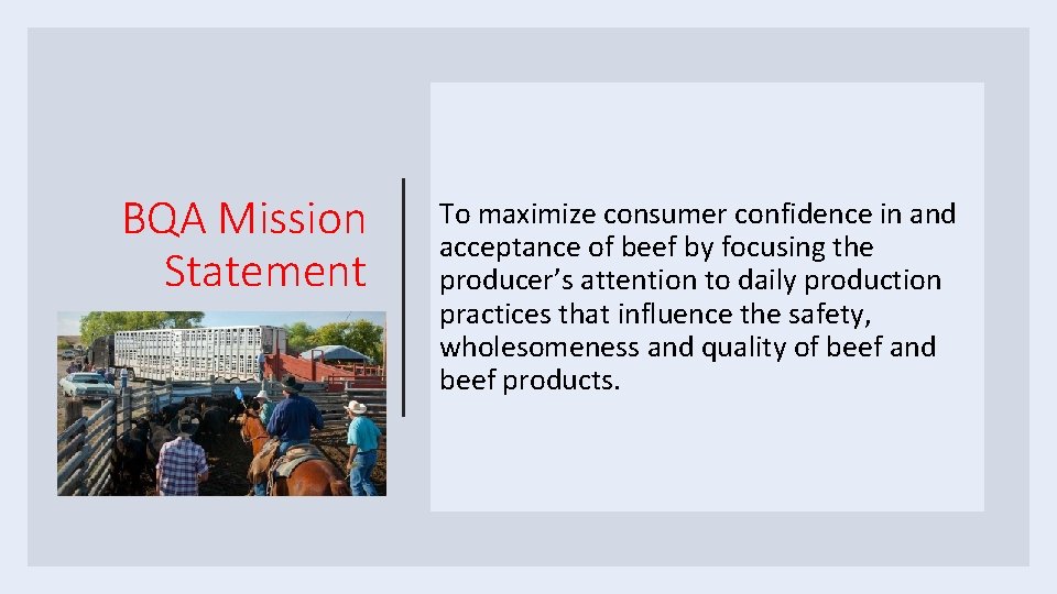 BQA Mission Statement To maximize consumer confidence in and acceptance of beef by focusing