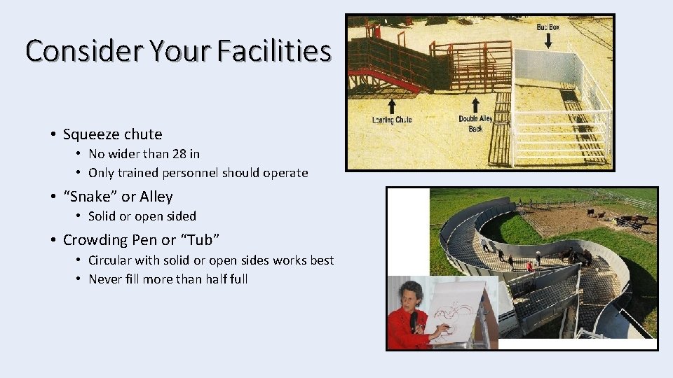 Consider Your Facilities • Squeeze chute • No wider than 28 in • Only