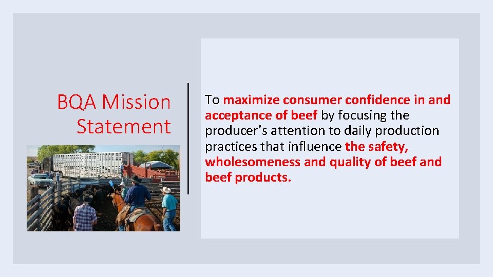 BQA Mission Statement To maximize consumer confidence in and acceptance of beef by focusing