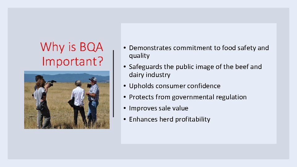 Why is BQA Important? • Demonstrates commitment to food safety and quality • Safeguards