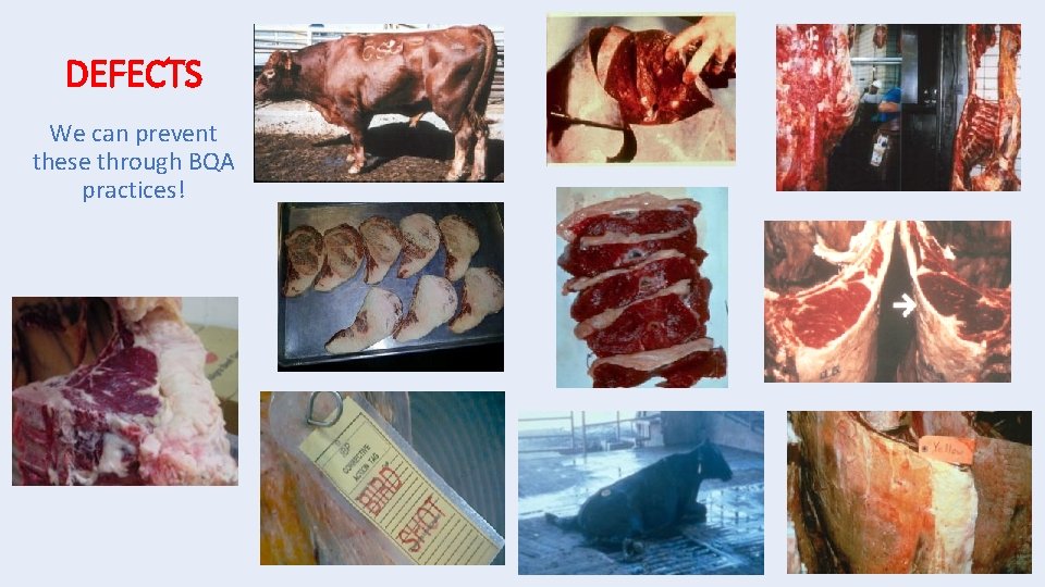 DEFECTS We can prevent these through BQA practices! 