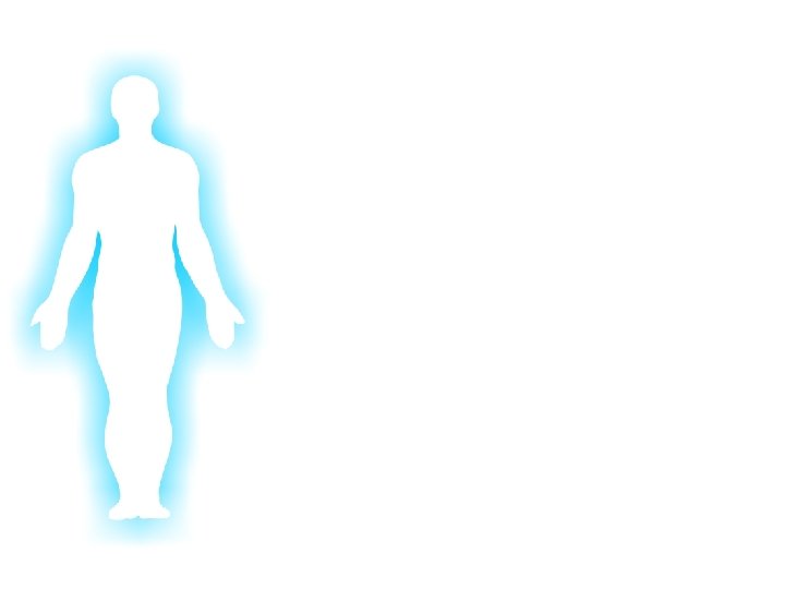 Glorifying God In Our Bodies 