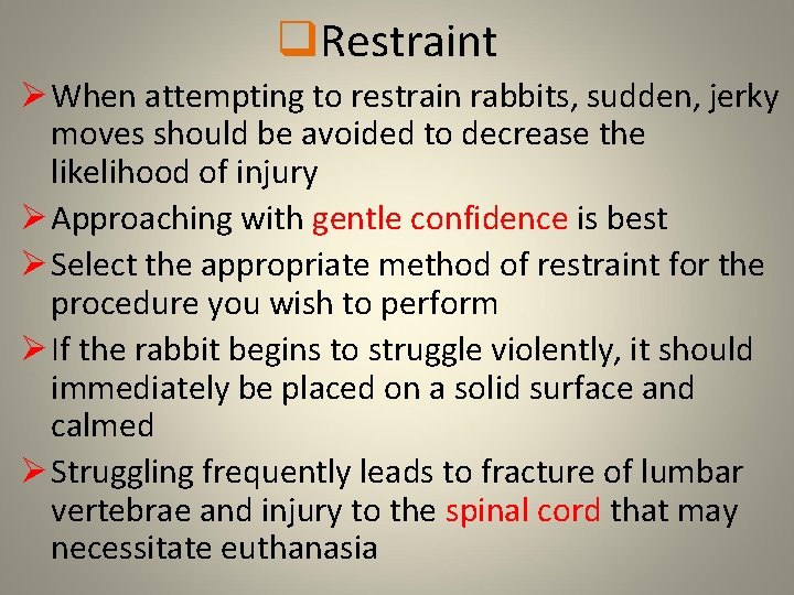 q. Restraint Ø When attempting to restrain rabbits, sudden, jerky moves should be avoided