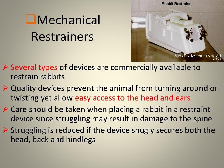 q. Mechanical Restrainers Ø Several types of devices are commercially available to restrain rabbits
