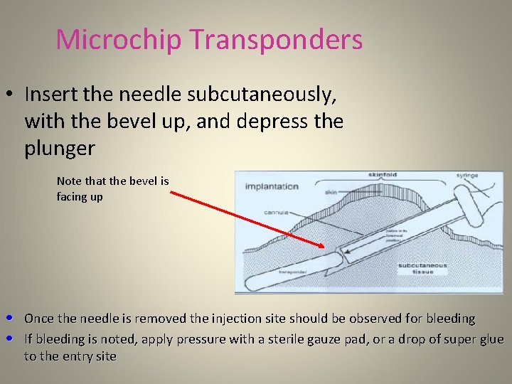 Microchip Transponders • Insert the needle subcutaneously, with the bevel up, and depress the
