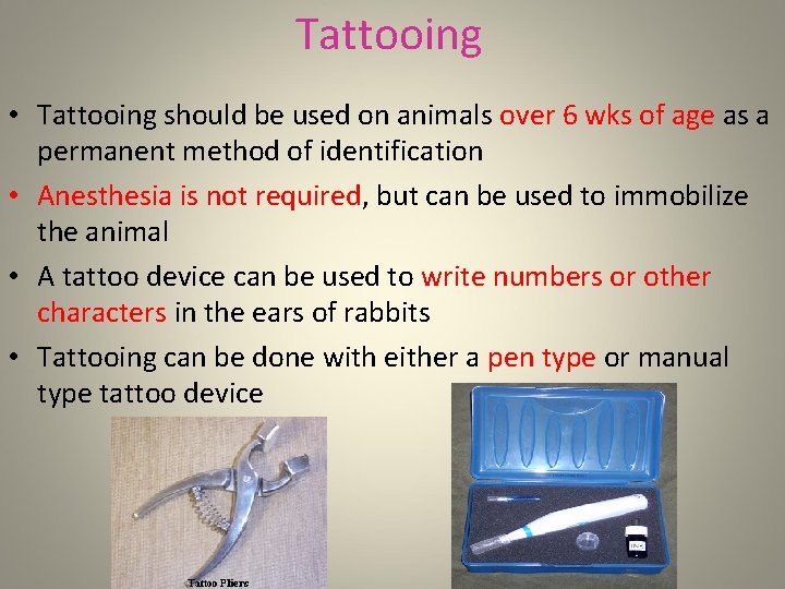 Tattooing • Tattooing should be used on animals over 6 wks of age as