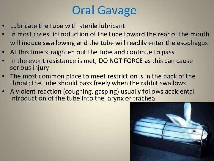 Oral Gavage • Lubricate the tube with sterile lubricant • In most cases, introduction