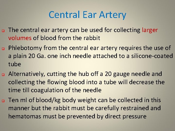 Central Ear Artery q q The central ear artery can be used for collecting