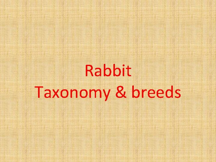 Rabbit Taxonomy & breeds 