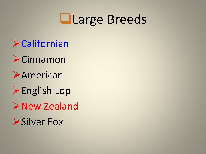 q. Large Breeds ØCalifornian ØCinnamon ØAmerican ØEnglish Lop ØNew Zealand ØSilver Fox 
