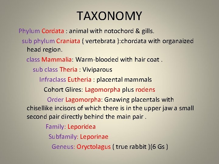 TAXONOMY Phylum Cordata : animal with notochord & gills. sub phylum Craniata ( vertebrata