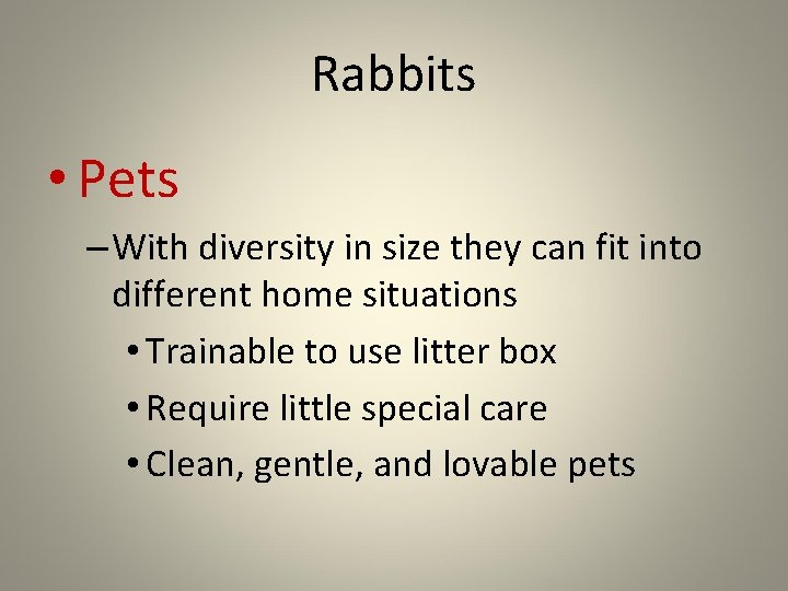 Rabbits • Pets – With diversity in size they can fit into different home