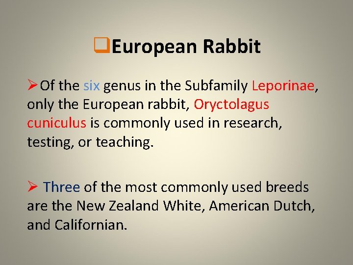 q. European Rabbit ØOf the six genus in the Subfamily Leporinae, only the European