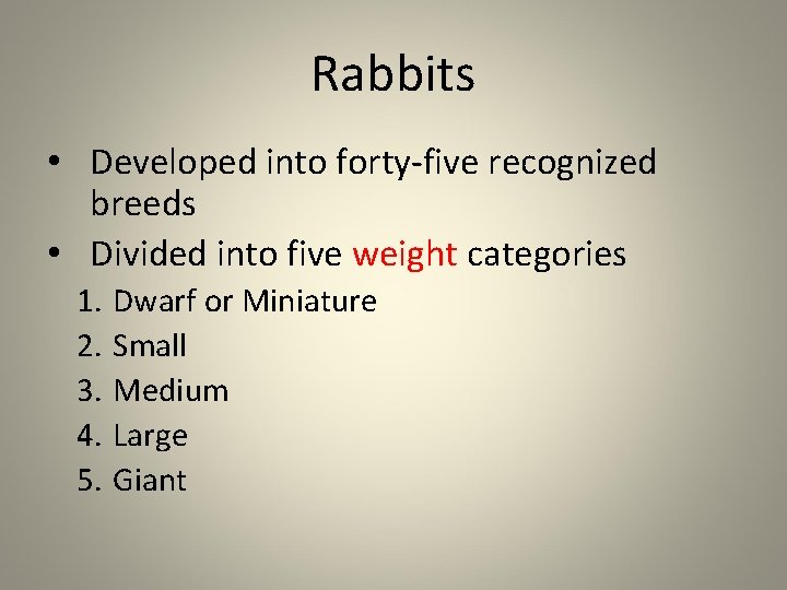 Rabbits • Developed into forty-five recognized breeds • Divided into five weight categories 1.
