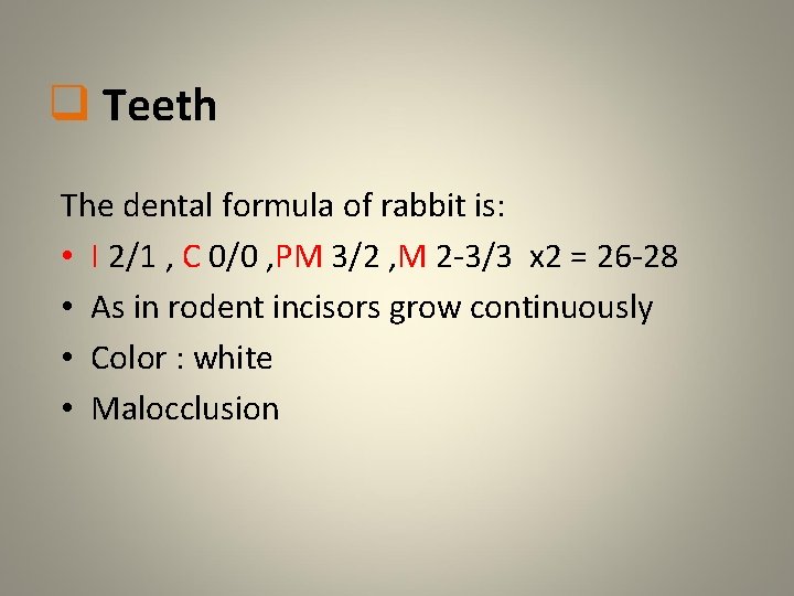 q Teeth The dental formula of rabbit is: • I 2/1 , C 0/0