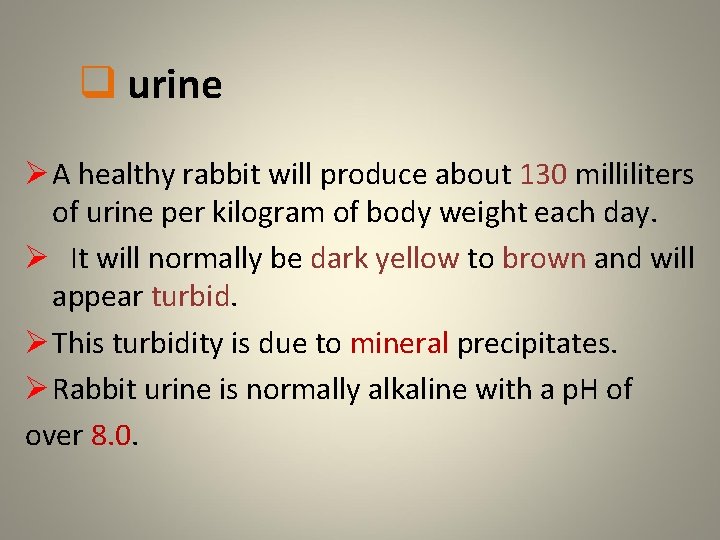 q urine Ø A healthy rabbit will produce about 130 milliliters of urine per