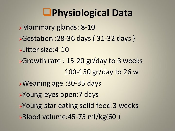 q. Physiological Data Mammary glands: 8 -10 ØGestation : 28 -36 days ( 31