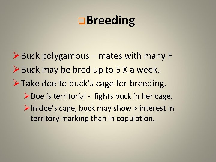 q. Breeding Ø Buck polygamous – mates with many F Ø Buck may be