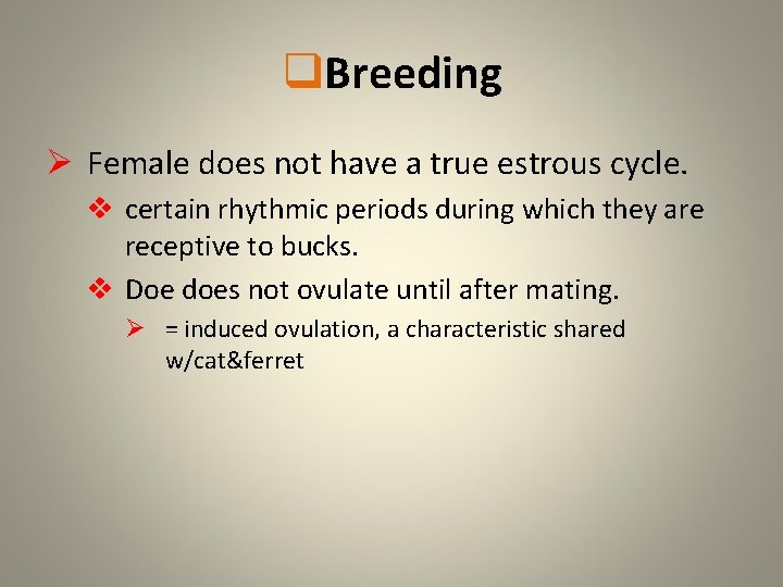 q. Breeding Ø Female does not have a true estrous cycle. v certain rhythmic