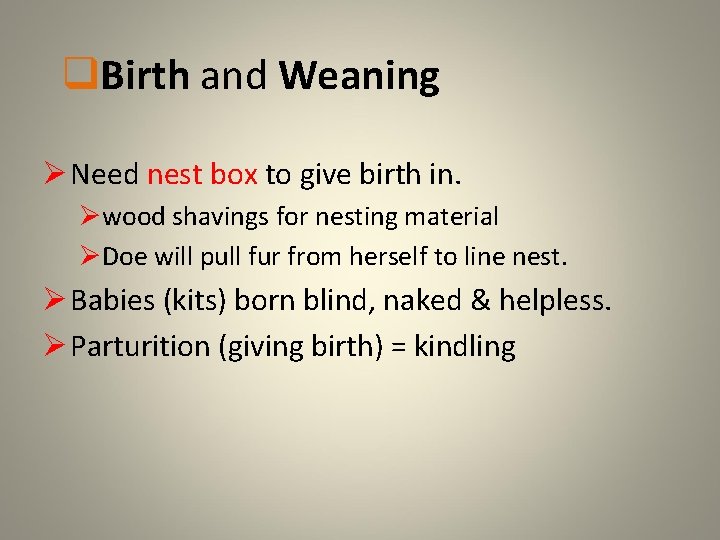 q. Birth and Weaning Ø Need nest box to give birth in. Øwood shavings