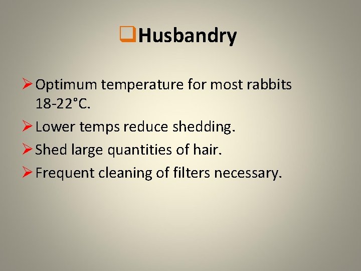 q. Husbandry Ø Optimum temperature for most rabbits 18 -22°C. Ø Lower temps reduce
