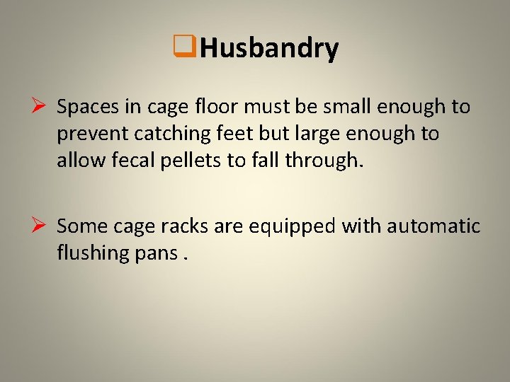 q. Husbandry Ø Spaces in cage floor must be small enough to prevent catching