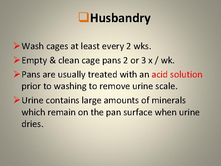 q. Husbandry Ø Wash cages at least every 2 wks. Ø Empty & clean