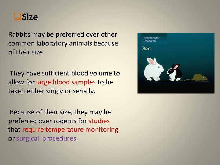 q. Size Rabbits may be preferred over other common laboratory animals because of their