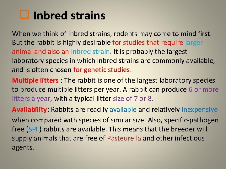q Inbred strains When we think of inbred strains, rodents may come to mind