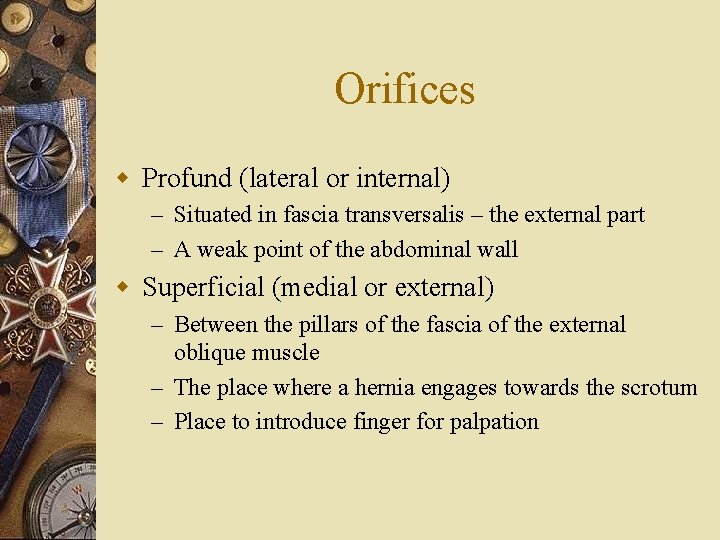 Orifices w Profund (lateral or internal) – Situated in fascia transversalis – the external