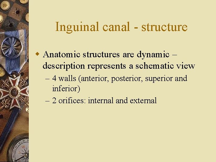 Inguinal canal - structure w Anatomic structures are dynamic – description represents a schematic