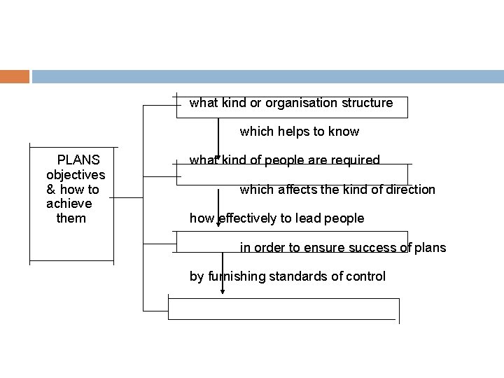 what kind or organisation structure which helps to know PLANS objectives & how to