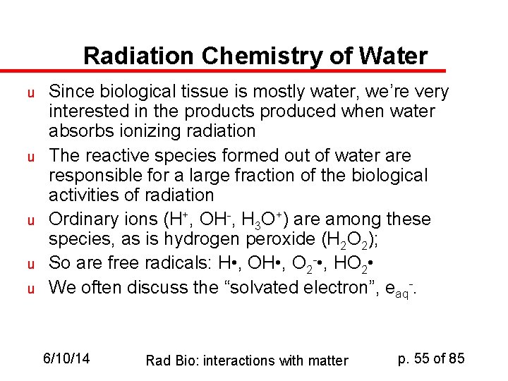 Radiation Chemistry of Water u u u Since biological tissue is mostly water, we’re