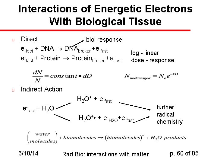 Interactions of Energetic Electrons With Biological Tissue u u Direct biol response e-fast +