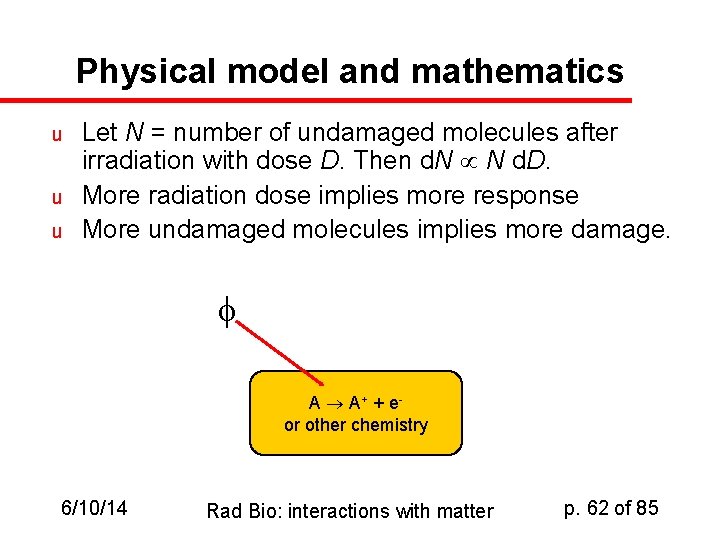 Physical model and mathematics u u u Let N = number of undamaged molecules