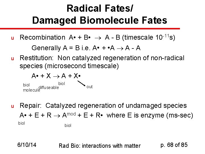 Radical Fates/ Damaged Biomolecule Fates u u Recombination A • + B • A
