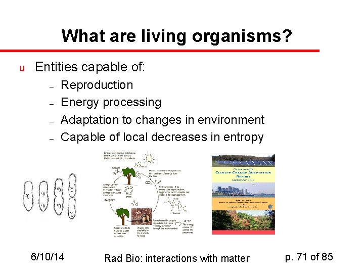 What are living organisms? u Entities capable of: – – Reproduction Energy processing Adaptation