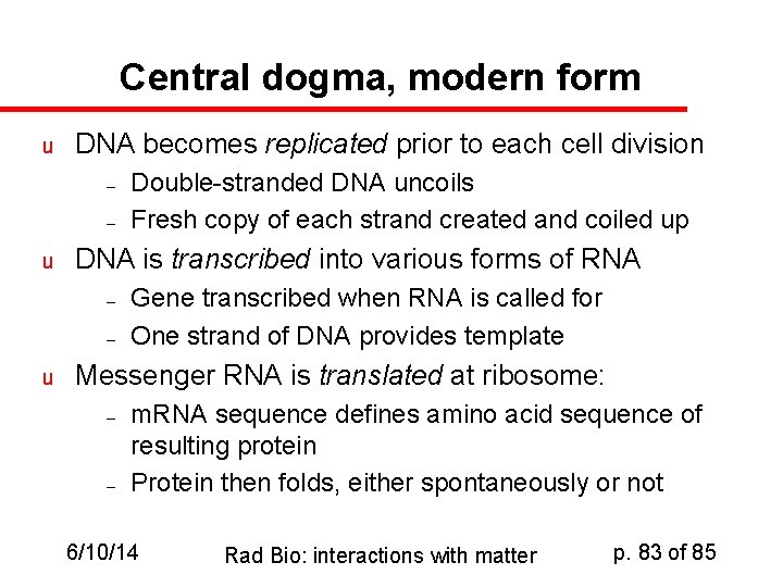 Central dogma, modern form u DNA becomes replicated prior to each cell division –