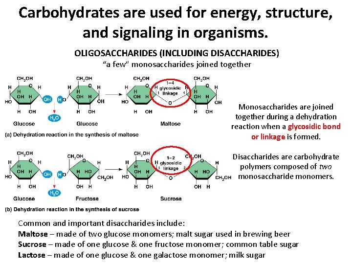 Carbohydrates are used for energy, structure, and signaling in organisms. OLIGOSACCHARIDES (INCLUDING DISACCHARIDES) “a Carbohydrates are used for energy, structure, and signaling in organisms. OLIGOSACCHARIDES (INCLUDING DISACCHARIDES) “a