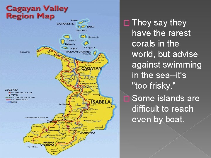 � They say they have the rarest corals in the world, but advise against