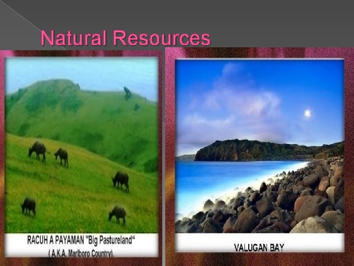 Natural Resources 